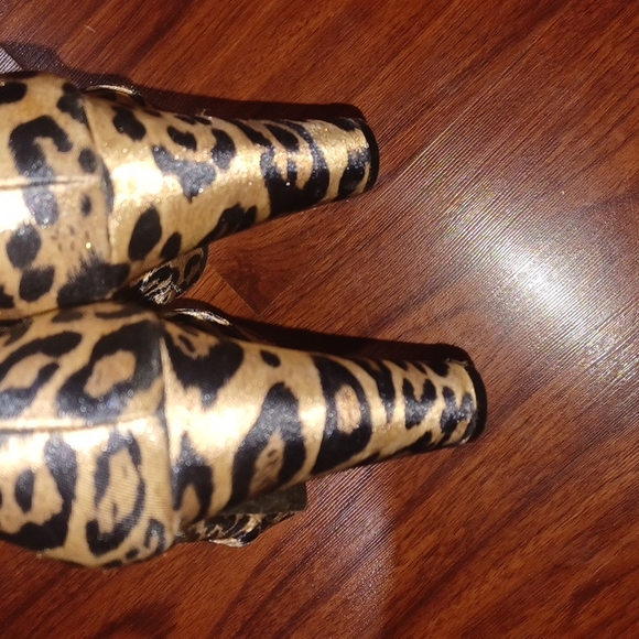 ROCKETDOG HEALS - Picture 4 of 6